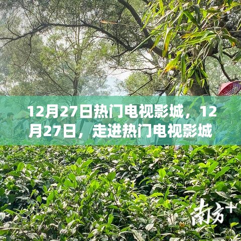 12月27日熱門電視影城，探尋變化中的學習之旅，播種自信的種子
