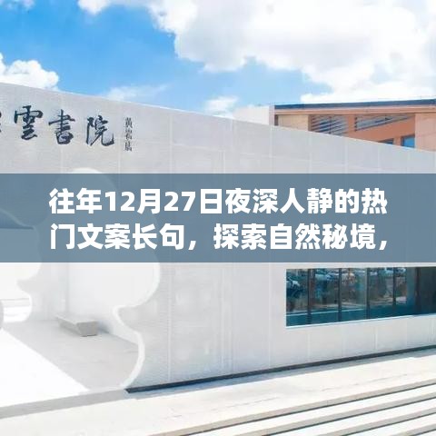 探索自然秘境，深夜星空下的心靈之旅，尋找內(nèi)心的寧?kù)o與寧?kù)o的夜對(duì)話