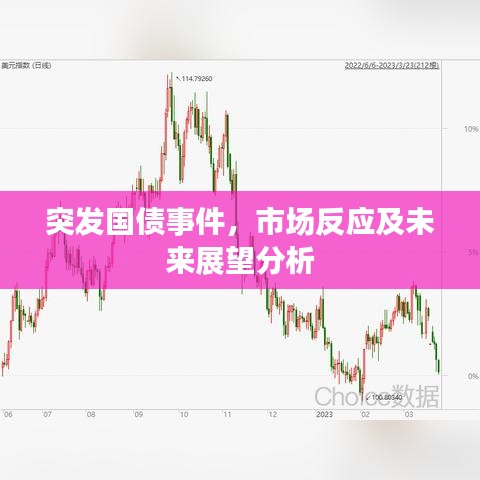 突發(fā)國債事件，市場反應(yīng)及未來展望分析