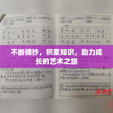 不斷摘抄，積累知識(shí)，助力成長(zhǎng)的藝術(shù)之旅