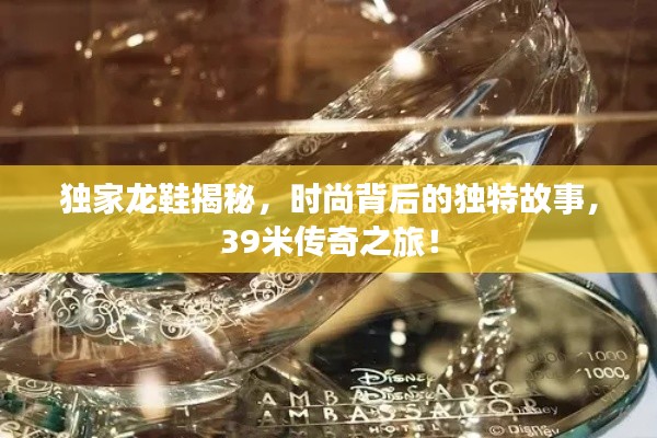獨(dú)家龍鞋揭秘，時(shí)尚背后的獨(dú)特故事，39米傳奇之旅！