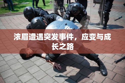 濃眉遭遇突發(fā)事件，應(yīng)變與成長(zhǎng)之路