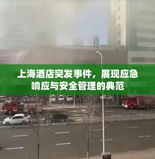 上海酒店突發(fā)事件，展現(xiàn)應(yīng)急響應(yīng)與安全管理的典范