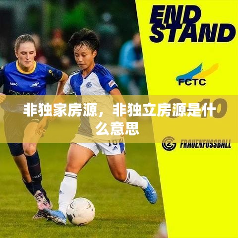 非獨(dú)家房源，非獨(dú)立房源是什么意思 