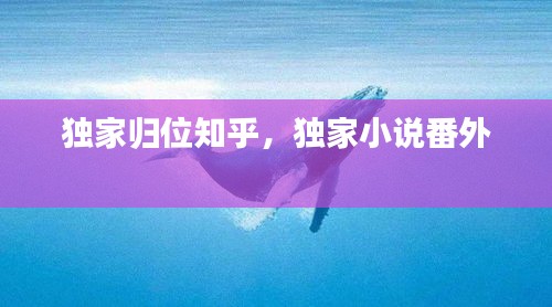 獨家歸位知乎，獨家小說番外 