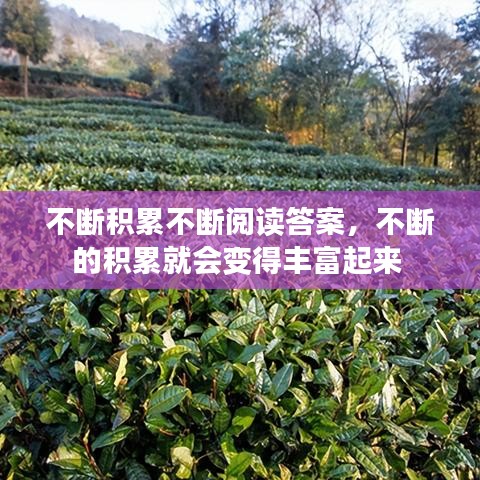 不斷積累不斷閱讀答案，不斷的積累就會(huì)變得豐富起來 