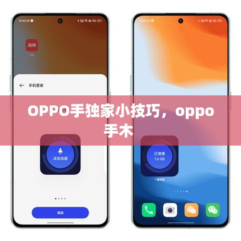 OPPO手獨家小技巧，oppo手木 