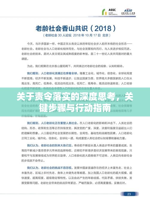 關于責令落實的深度思考，關鍵步驟與行動指南