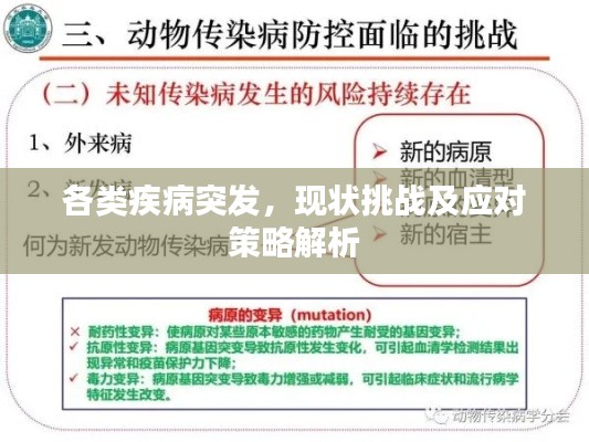 各類疾病突發(fā)，現(xiàn)狀挑戰(zhàn)及應(yīng)對策略解析