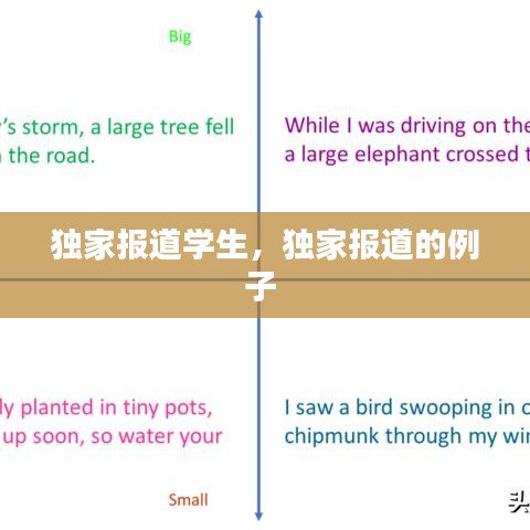 獨家報道學生，獨家報道的例子 