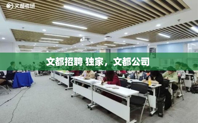 文都招聘 獨(dú)家，文都公司 
