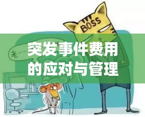 突發(fā)事件費用的應對與管理，核心價值與不可忽視的重要性