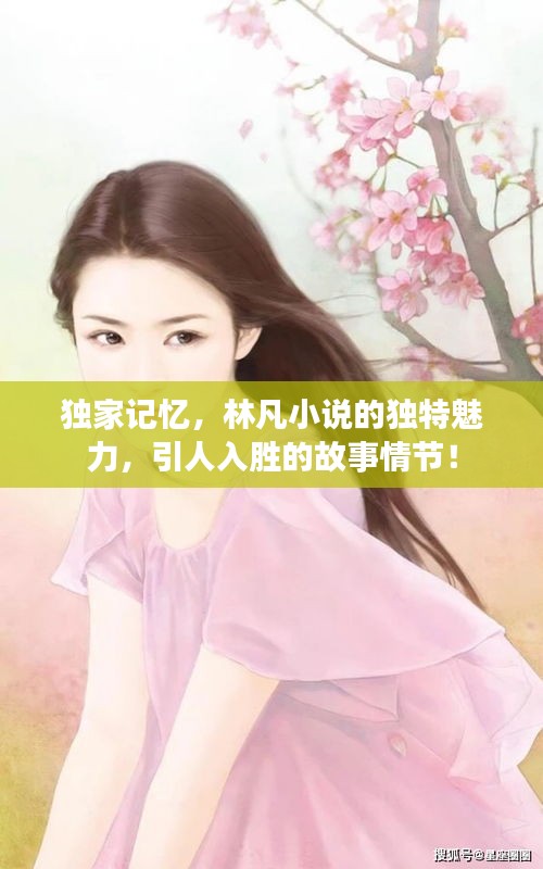 獨(dú)家記憶，林凡小說(shuō)的獨(dú)特魅力，引人入勝的故事情節(jié)！