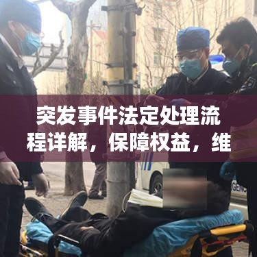突發(fā)事件法定處理流程詳解，保障權(quán)益，維護(hù)秩序的關(guān)鍵步驟
