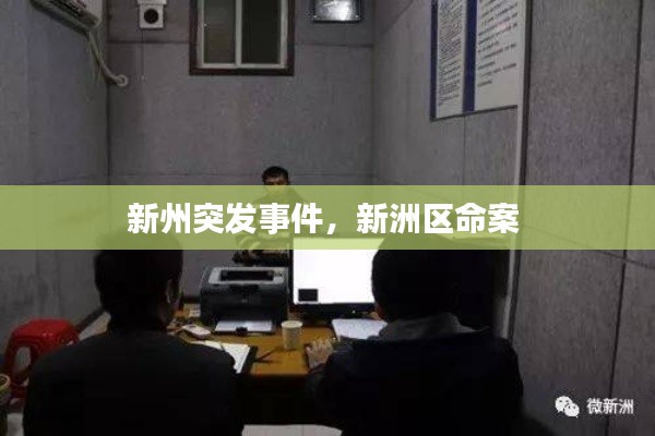 新州突發(fā)事件，新洲區(qū)命案 