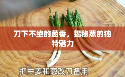 刀下不絕的蔥香，揭秘蔥的獨(dú)特魅力