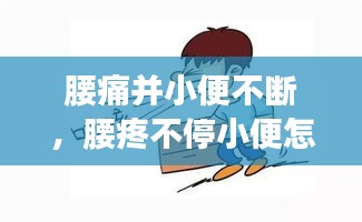 腰痛并小便不斷，腰疼不停小便怎么回事 