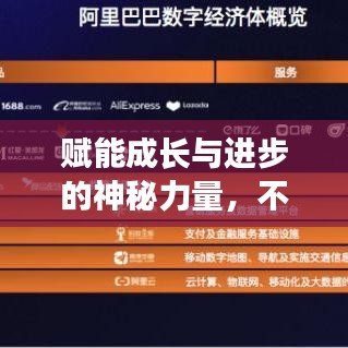 衣不重采 第3頁(yè)