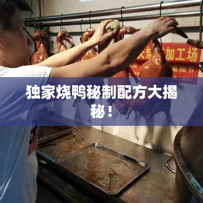 獨(dú)家燒鴨秘制配方大揭秘！