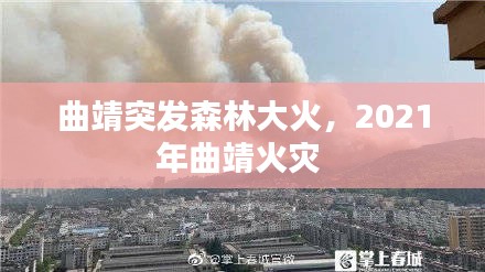 曲靖突發(fā)森林大火，2021年曲靖火災 