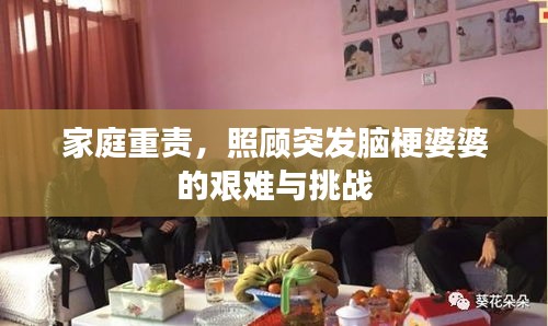 家庭重責(zé)，照顧突發(fā)腦梗婆婆的艱難與挑戰(zhàn)