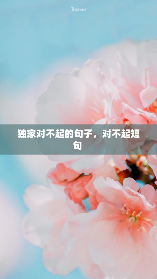 獨(dú)家對(duì)不起的句子，對(duì)不起短句 