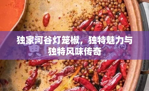 獨(dú)家河谷燈籠椒，獨(dú)特魅力與獨(dú)特風(fēng)味傳奇