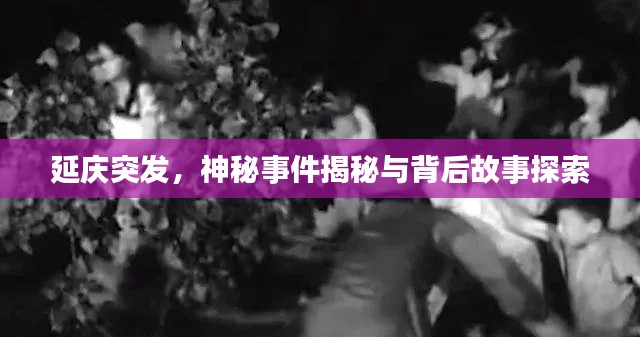 延慶突發(fā)，神秘事件揭秘與背后故事探索
