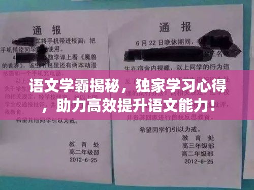 語文學(xué)霸揭秘，獨(dú)家學(xué)習(xí)心得，助力高效提升語文能力！