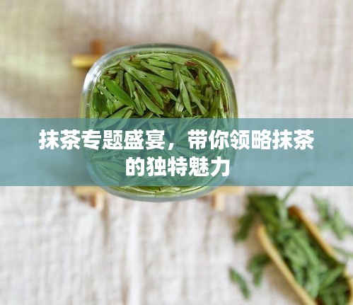 雍容爾雅 第2頁