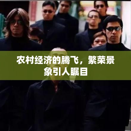 農(nóng)村經(jīng)濟(jì)的騰飛，繁榮景象引人矚目