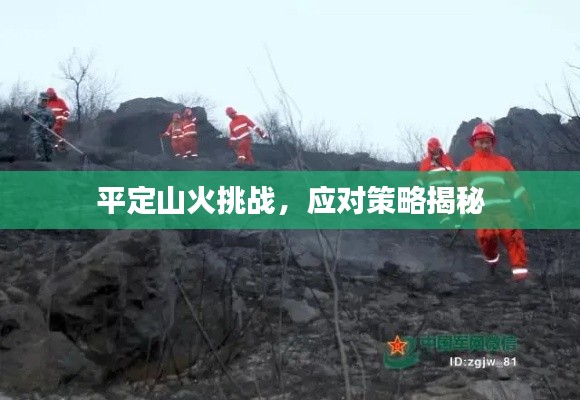 平定山火挑戰(zhàn)，應(yīng)對(duì)策略揭秘