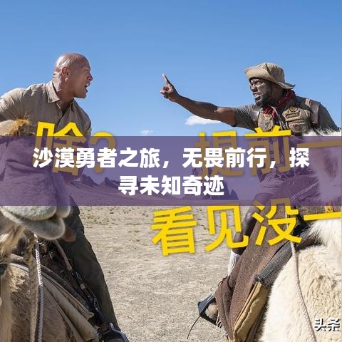 沙漠勇者之旅，無畏前行，探尋未知奇跡