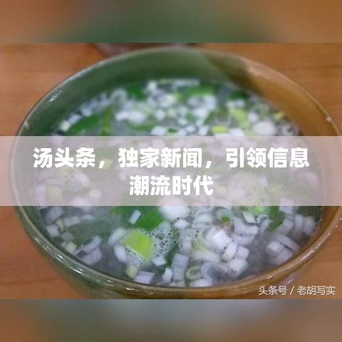 湯頭條，獨家新聞，引領(lǐng)信息潮流時代