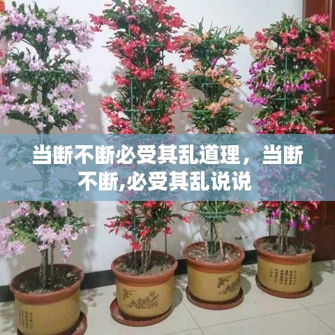 當(dāng)斷不斷必受其亂道理，當(dāng)斷不斷,必受其亂說說 