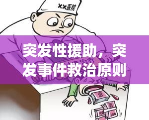 突發(fā)性援助，突發(fā)事件救治原則 