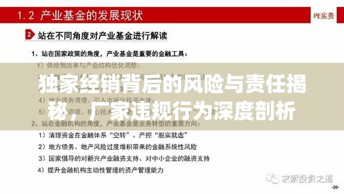 獨(dú)家經(jīng)銷背后的風(fēng)險(xiǎn)與責(zé)任揭秘，廠家違規(guī)行為深度剖析