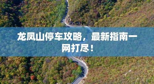 東張西望 第2頁