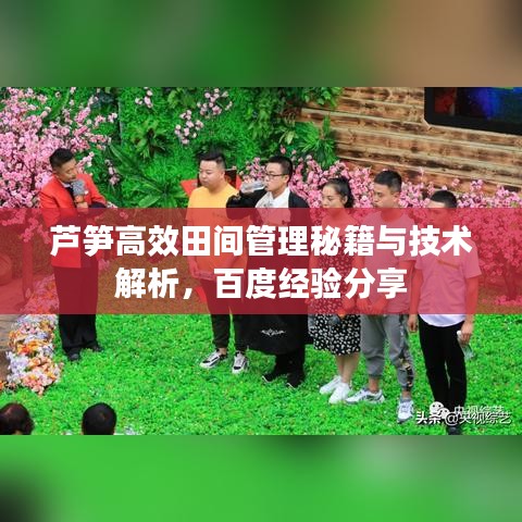 將錯(cuò)就錯(cuò) 第2頁