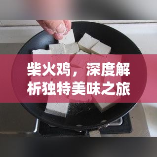 柴火雞，深度解析獨(dú)特美味之旅
