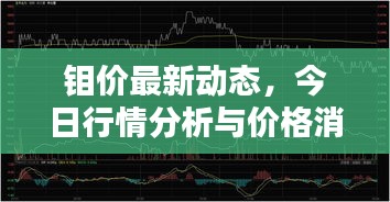 鉬價最新動態(tài)，今日行情分析與價格消息一網打盡