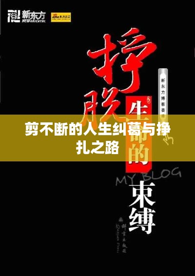 就正有道 第2頁(yè)