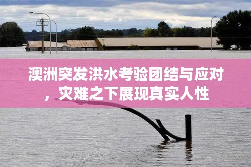 澳洲突發(fā)洪水考驗團結與應對，災難之下展現(xiàn)真實人性