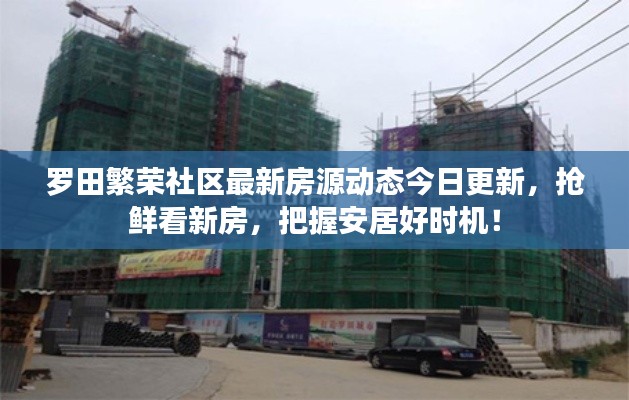 羅田繁榮社區(qū)最新房源動態(tài)今日更新，搶鮮看新房，把握安居好時機！
