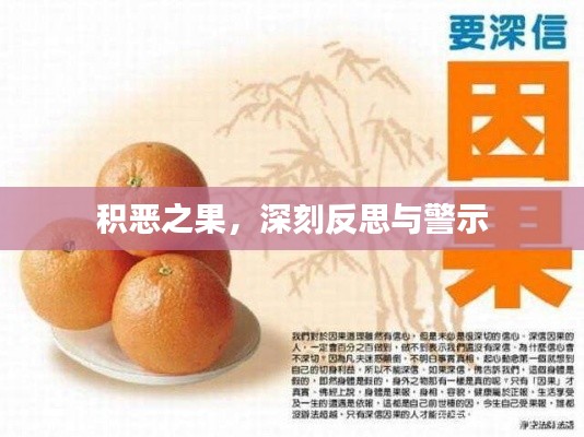 積惡之果，深刻反思與警示