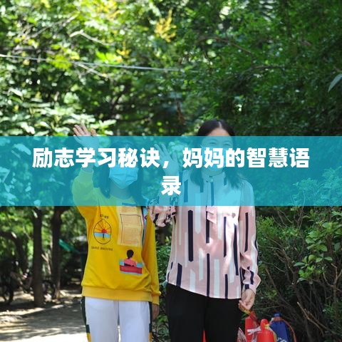 勵志學(xué)習(xí)秘訣，媽媽的智慧語錄