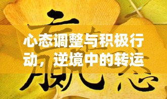 心態(tài)調(diào)整與積極行動(dòng)，逆境中的轉(zhuǎn)運(yùn)秘訣！