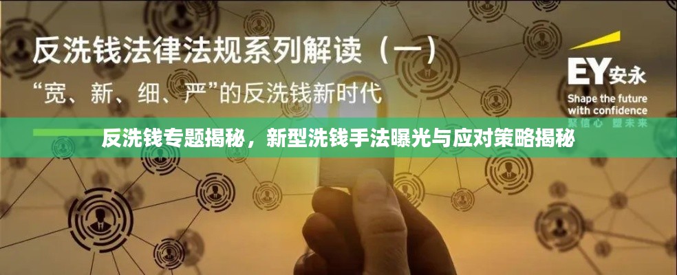 反洗錢專題揭秘，新型洗錢手法曝光與應(yīng)對策略揭秘