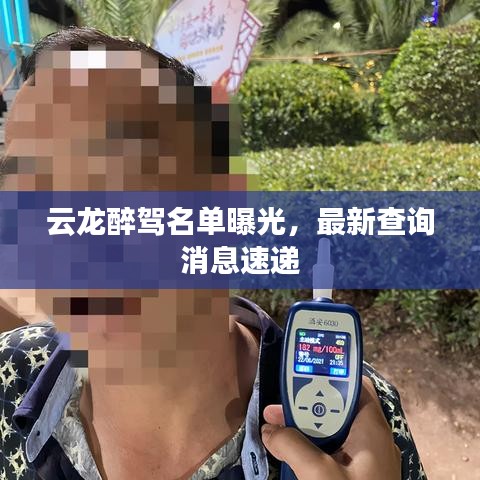云龍醉駕名單曝光，最新查詢消息速遞