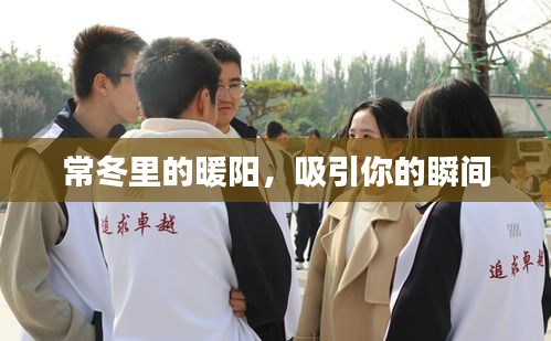 常冬里的暖陽(yáng)，吸引你的瞬間